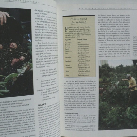 Ortho All About Vegetables 1990 Paperback 144 Page - Picture 4 of 5